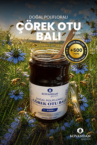 %100 Doğal Ham Çörek Otu Balı 850 g - Katkısız Hakiki Burdur Balı (Laboratuvar Analizli)