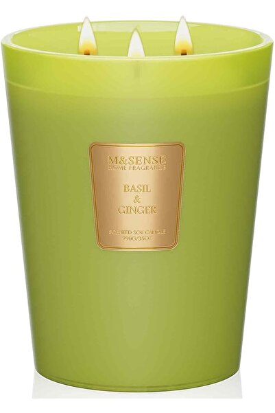 M&SENSE شمعة معطرة برائحة الأوكالبتوس والزعفران، 35 أونصة، تدوم لمدة 150 ساعة...