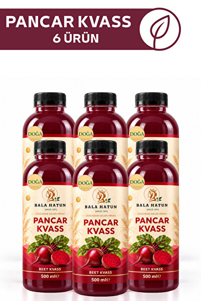 Pancar Kvass 500ml - Doğal Fermente (6'lı Pet Şişe)