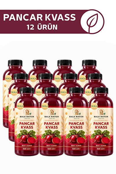 Pancar Kvass 500ml - Doğal Fermente (12'li Pet Şişe)