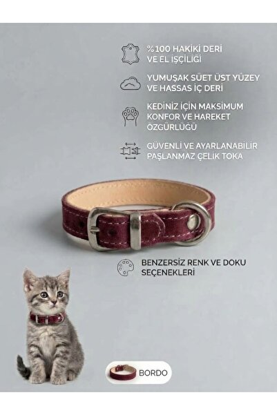 Hakiki Deri Kedi Tasması – Ayarlanabilir Kedi Boyun Tasması – Şık ve Dayanıklı 1 Adet