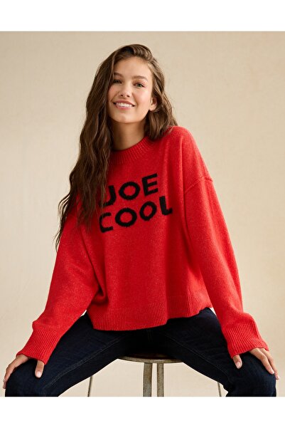 AMERICAN EAGLE AE Whoa So Soft Joe Cool Graphic Sweater