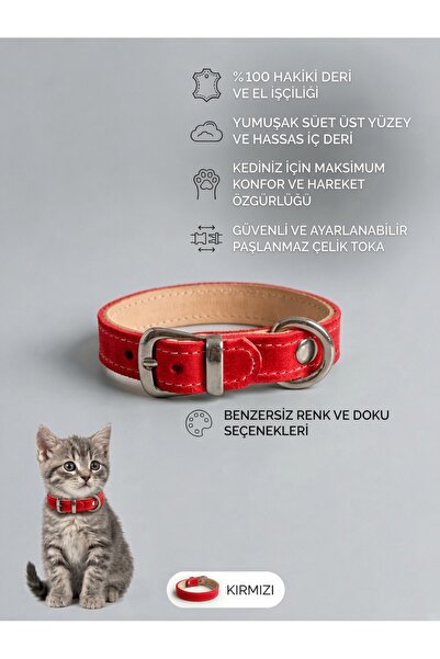 Hakiki Deri Kedi Tasması – Ayarlanabilir Kedi Boyun Tasması – Şık ve Dayanıklı 1 Adet
