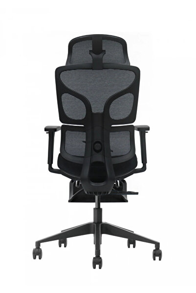 Topscaune VERTEX PRO – Scaun Ergonomic Premium, Suport Lombar Dublu cu arc și...