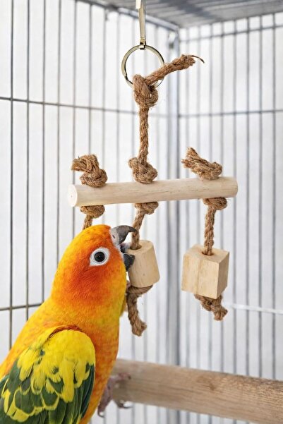 Alyones Wooden Swing Perch for Birds Natural Wood Cage Toy with Rope