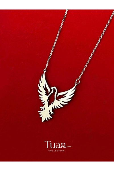 Tuan Collection Complete Steel Eagle Figured Necklace Silver Color Unisex Necklace