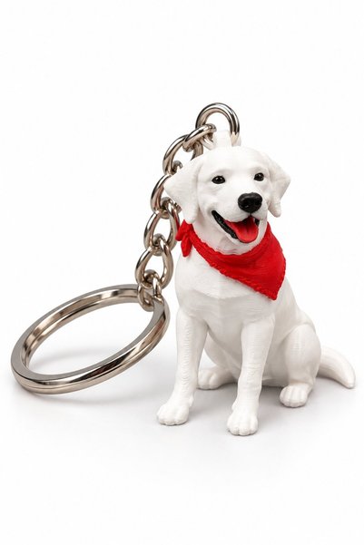 Maygiy Golden Retriever Keychain with 3D Figure, Cute Dog Bag and Key Ornament