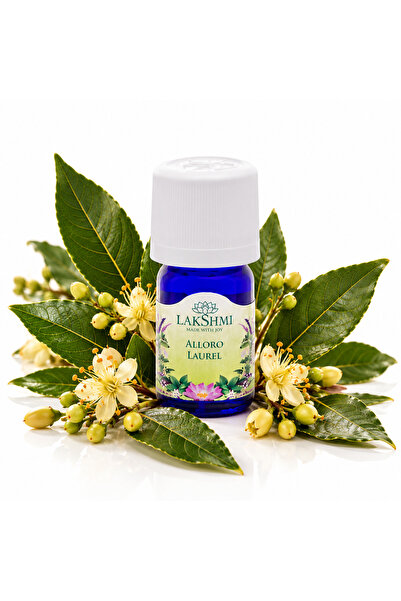 Lakshmi Ulei Esential de Dafin 5 ml, Laurus Nobilis Oil, 100% Pur si Organic,...