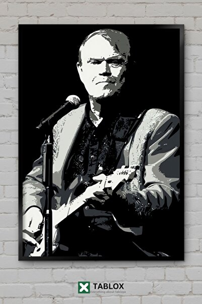 tablomaxtbx Glen Campbell Cântăreț, Poster cu muzică country, Tablou decorati...