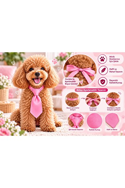 Berliva Home Köpek Kravatlı Ayarlanabilir Tasmalı-Boyun çevresi en dar 15cm e...
