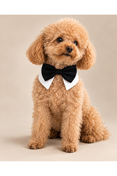 Köpek Papyonlu Yaka Bandana – 100% Pamuk Poplin