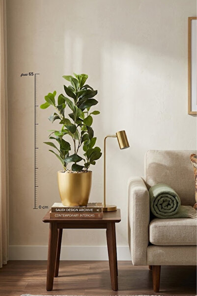 co arma Lemon Seedling with Plastic Rootstock Simulating Natural Seedlings, 6...