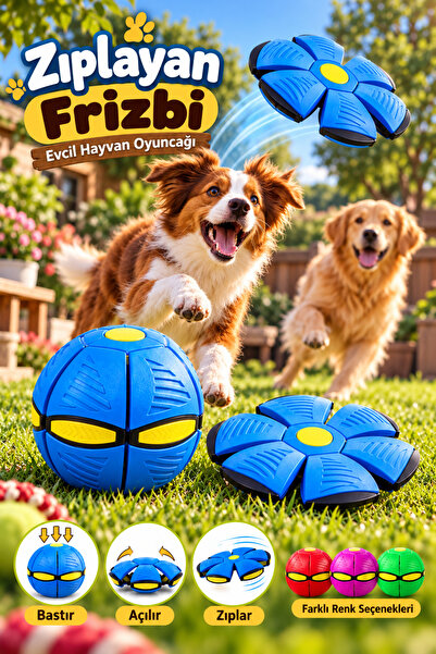 House Bird Zıplayan Frizbi Top Köpek Oyuncağı Fiziksel Aktivite ve Zeka Oyuncağı