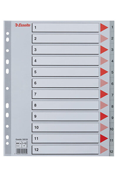 Esselte Dosar index plastic A4 MAXI 1-12 gri