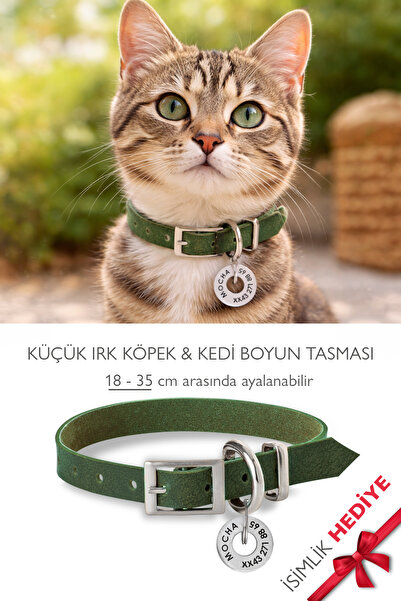 pasiole Kedi-köpek Boyun Tasması İsimlik Hediyeli Ayarlanabilir Kedi & Küçük ...