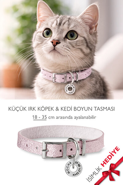 pasiole Kedi-köpek Boyun Tasması İsimlik Hediyeli Ayarlanabilir Kedi & Küçük ...