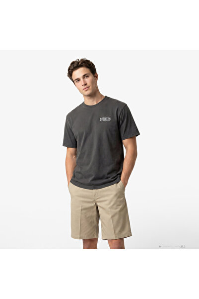 Dickies Buchtell Erkek Siyah T-Shirt