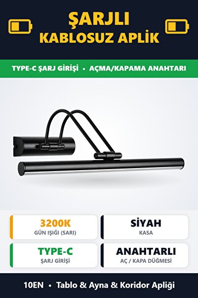 10EN Flüt Şarjlı Siyah Kasa Ledli Tablo Kuğu Duvar Aplik Şarjlı Günışığı
