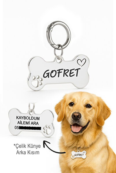 İsme Özel Gümüş Gri Renk Çelik Köpek İsimliği Köpek Künyesi