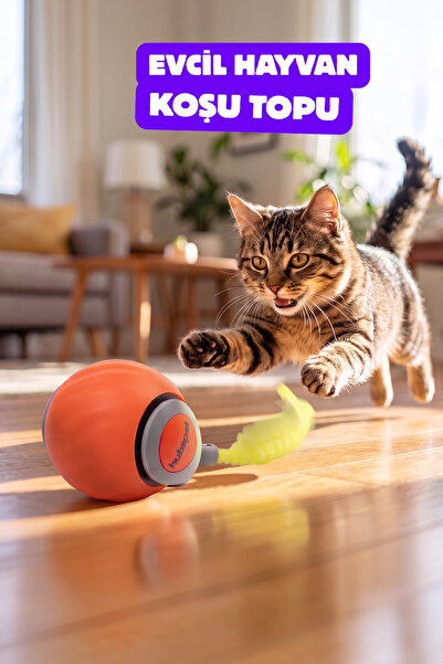 Hubspet Otomatik Yuvarlanan Top Kedi Oyuncağı Turuncu H120