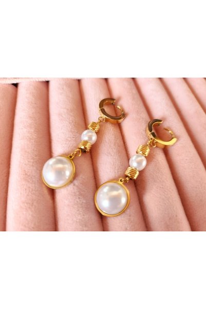 Anatolia Money, Luck, and Success Steel Earrings