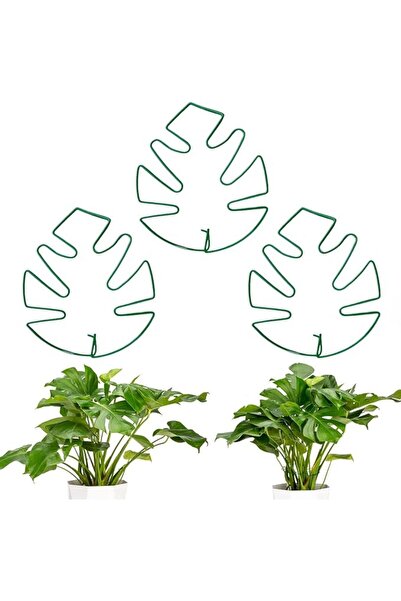 GENERAL Monstera Plant Support, 3 Pack Iron Clamps with Turtle Shell Design, ...