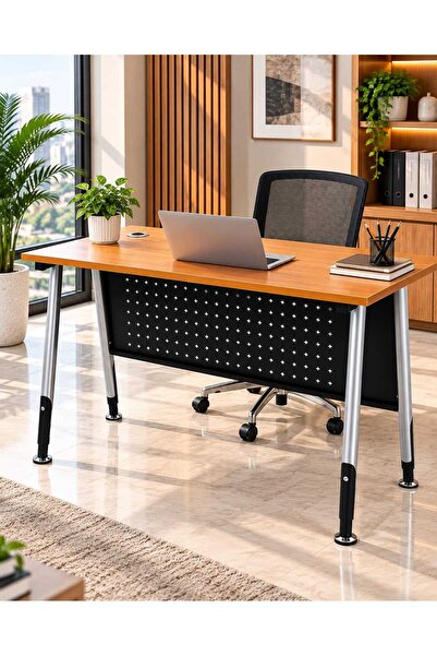 TrentonGCC Modern Office Desk with Metal Legs & Privacy Panel – Stylish Compu...