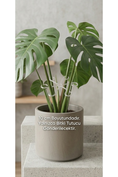 Kanem3D Bitki Desteği 10 cm Buzlu Cam Görünümlü - Monstera Ve Saksı Bitkileri...