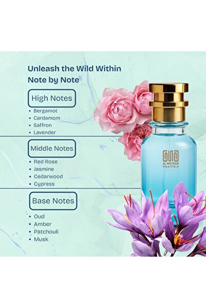 OUD AL MEYDAN Oil-Based Perfume Women & Men – Impression of Abraaj – Alcohol-Free, 10+ Hr Long-Lasting Woody Chypre Oriental Scent with Notes of Bergamot, Red Rose, Jasmine & Oud (30 ML)