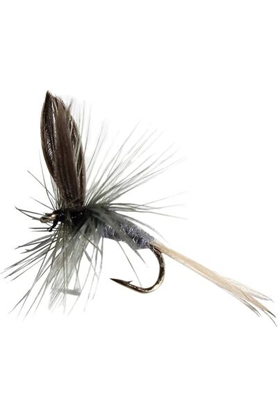 Flies Inn مجموعة متنوعة من ذبابات صيد سمك التراوت الزرقاء (12 قطعة)