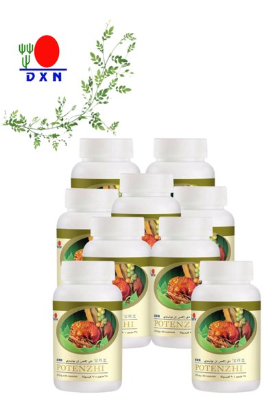 DXN 9 Pieces Potenzhi 90 capsules (370 mg each)