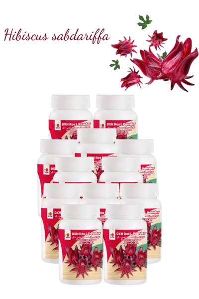 DXN 12 Pieces Ros L Powder 30 g