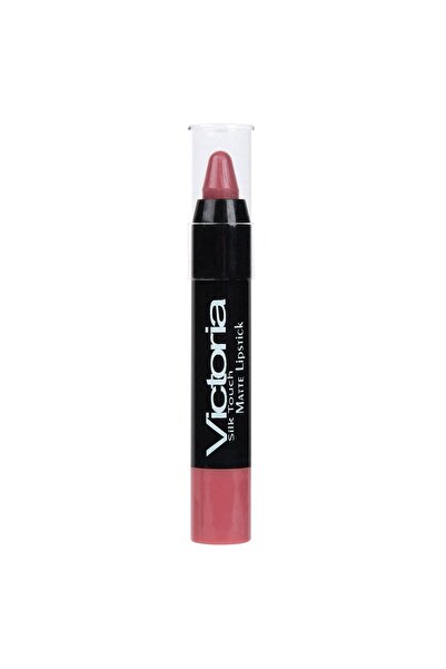 DD SHOP Ruj de Buze Mat Pink Nude 3g - Stick, Cosmetice Produse Ingrijire