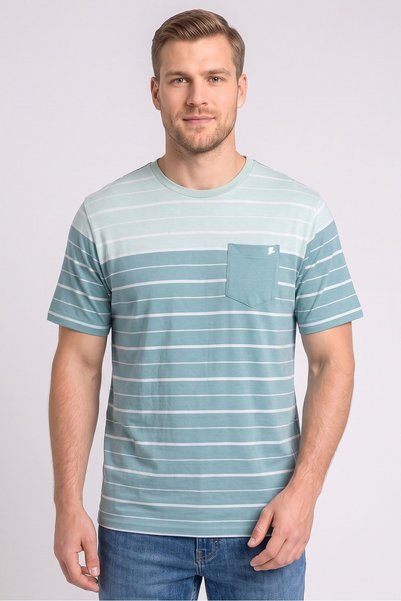 Bewley Ritch Men Crew Neck Short Sleeve Stripe T-Shirt, Multicolor