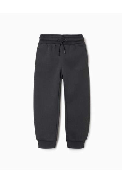 Ziddy Slim Fit Brushed Joggers With Print For Boys, Dark Grey