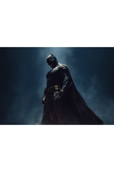 OEM Poster Batman Cavalerul Întunecat Umbră, 61x90 cm, poster5999