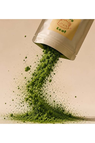 Matcha 50g Matcha Yabukita - 50