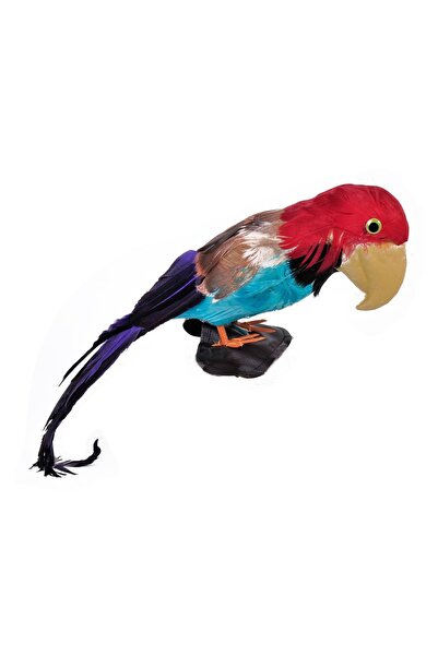 OEM Accesoriu Pirat Papagal pentru Umar 50cm – Detaliu de Recuzită pentru Cos...