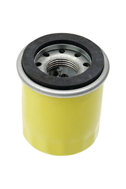 Other Filtru de ulei motor BRIGGS STRATTON 795990