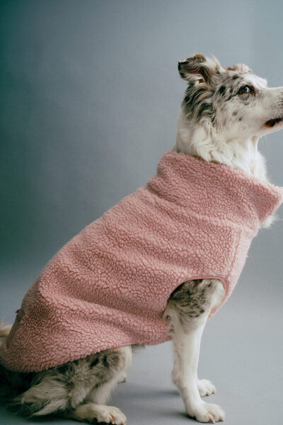 H&M Pelüş Köpek Kabanı