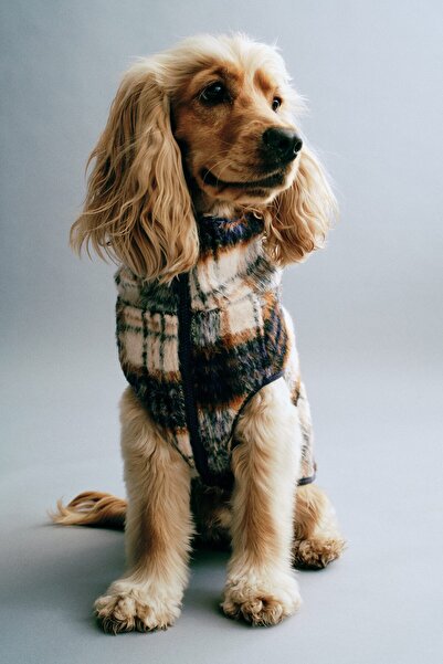 H&M Pelüş Köpek Kabanı
