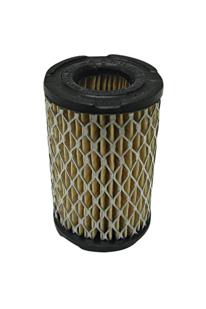 Other Filtru de aer TECUMSEH 33270234 35066 23410051 63087A 21333