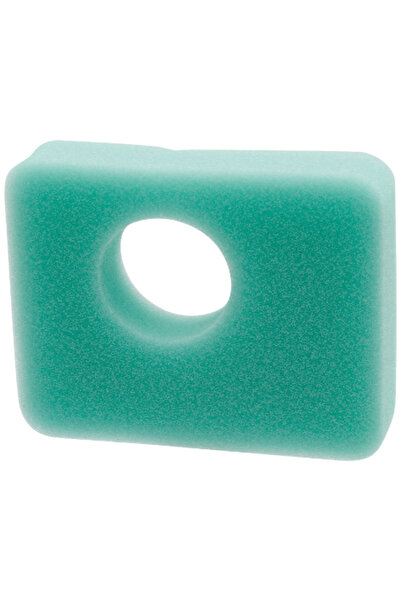 Other Filtru de aer pentru BRIGGS STRATTON 799579