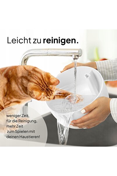 NO BRAND Boluri - Transparent