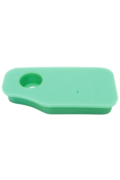 Other Filtru de aer Briggs & Stratton 270843S 270843