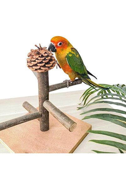 NALACAL Bird Perch Stand, Parrot Stand perches, perches for Parakeets, Natura...