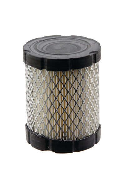 Other Filtru de aer BRIGGS STRATTON 591583, 796032