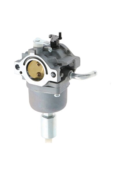 Other Carburator Briggs Stratton 594593 pentru mașina de tuns iarba Granite