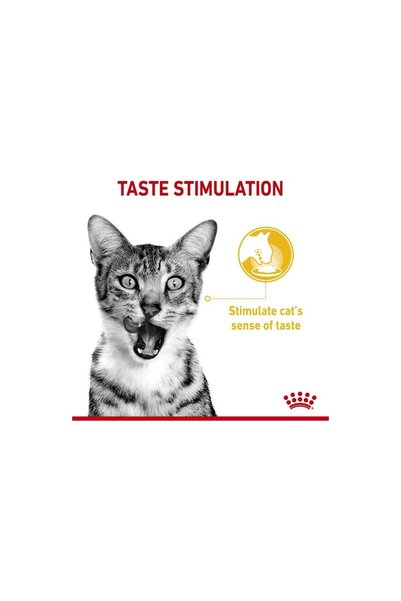 Royal Canin Sensory Tat Duyusu için Av Eti Tatlı Yaş Kedi Maması 12 x 85g Besleyici İçerik