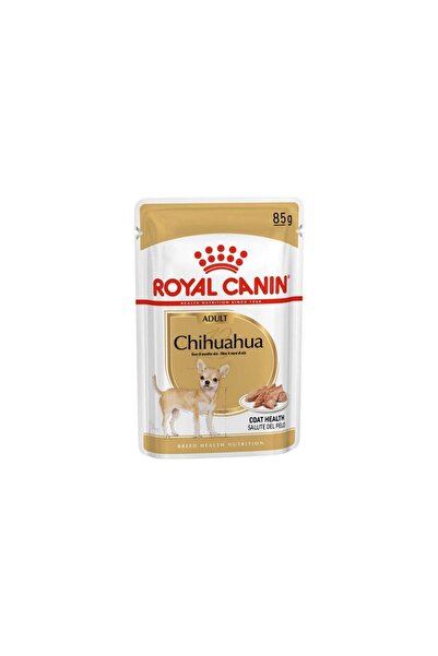 6 Adet Bhn Chihuahua 85 gr